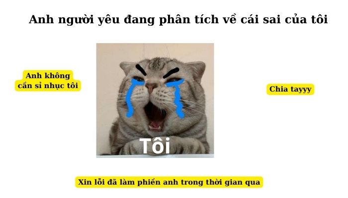 101+ meme xin lỗi người yêu, meme mèo xin lỗi cute nhất