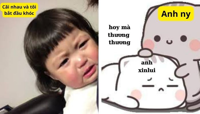 101+ meme xin lỗi người yêu, meme mèo xin lỗi cute nhất