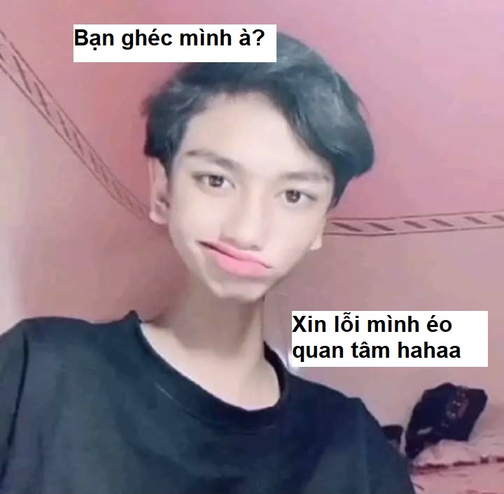 101+ meme xin lỗi người yêu, meme mèo xin lỗi cute nhất