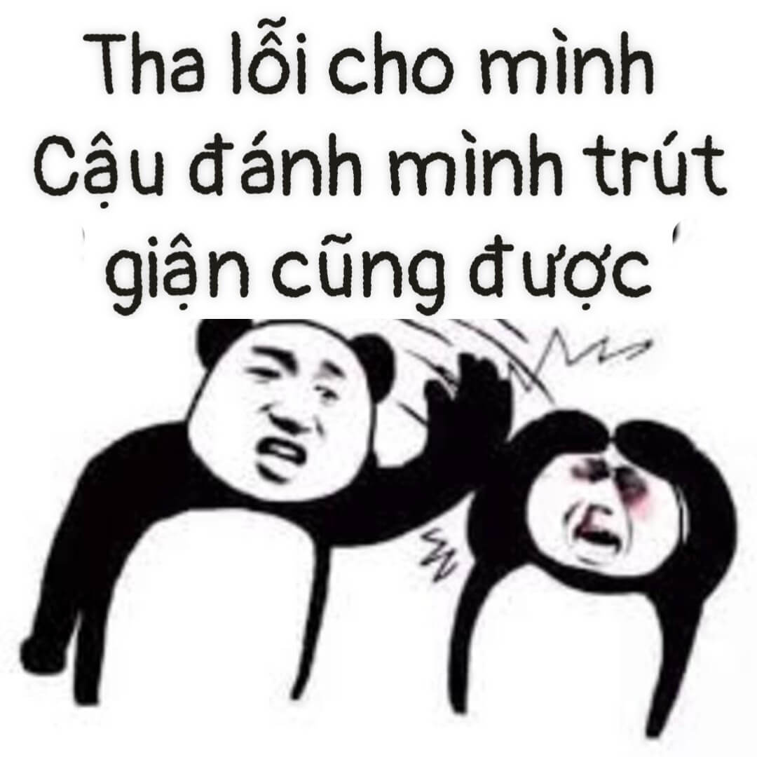 101+ meme xin lỗi người yêu, meme mèo xin lỗi cute nhất