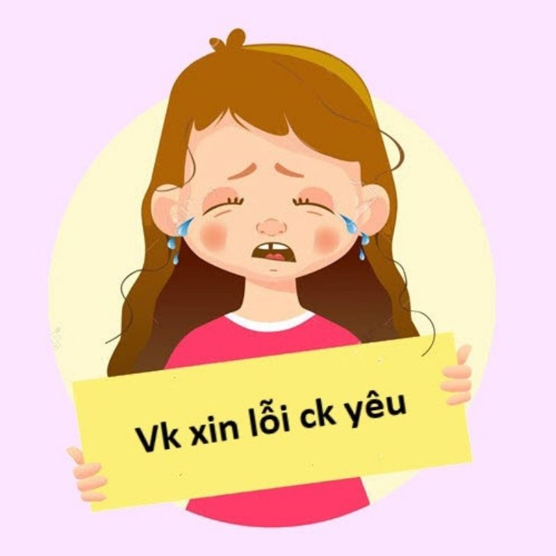 101+ meme xin lỗi người yêu, meme mèo xin lỗi cute nhất