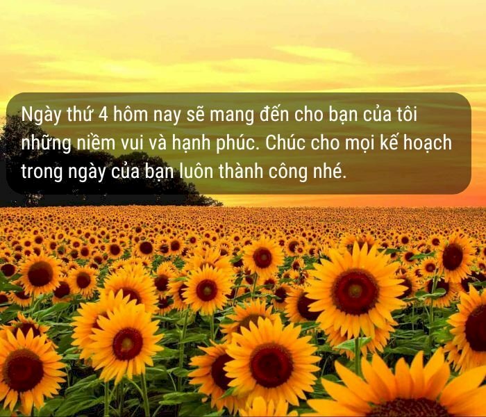 101 ảnh chúc thứ 4 thành công đẹp, ý nghĩa, chất lượng cao, tải miễn phí