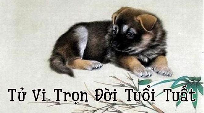 Năm Nay 6 Tuổi Là Tuổi Con Gì? Hướng Dẫn Chi Tiết Cho Cha Mẹ