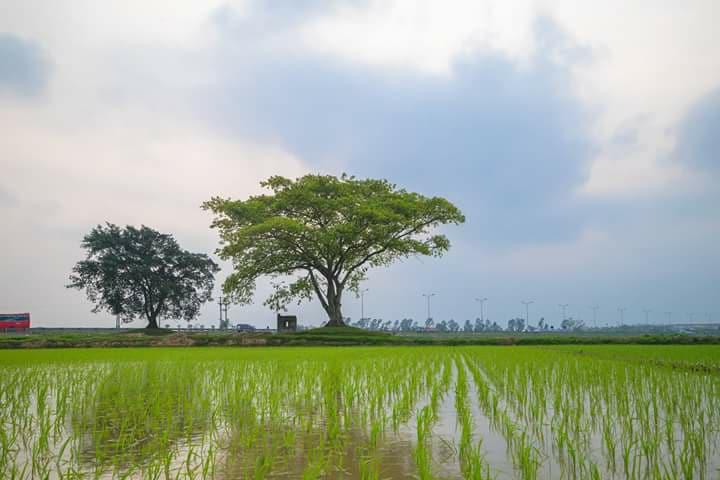 Những hình ảnh bình yên đẹp nhất