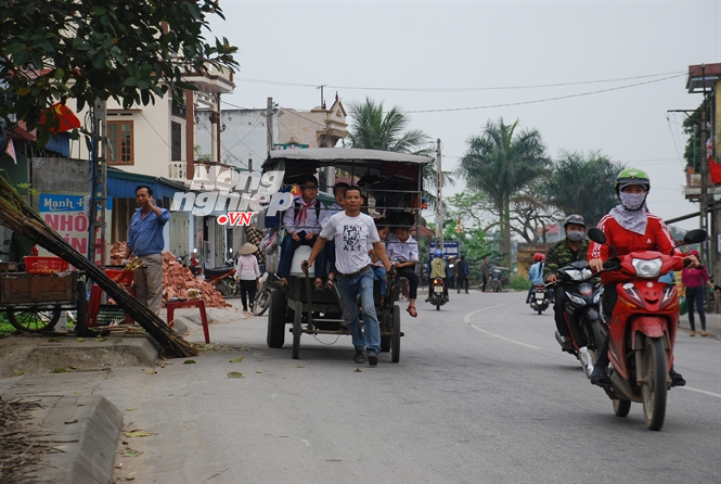 'Người ngựa, ngựa người' thời nay