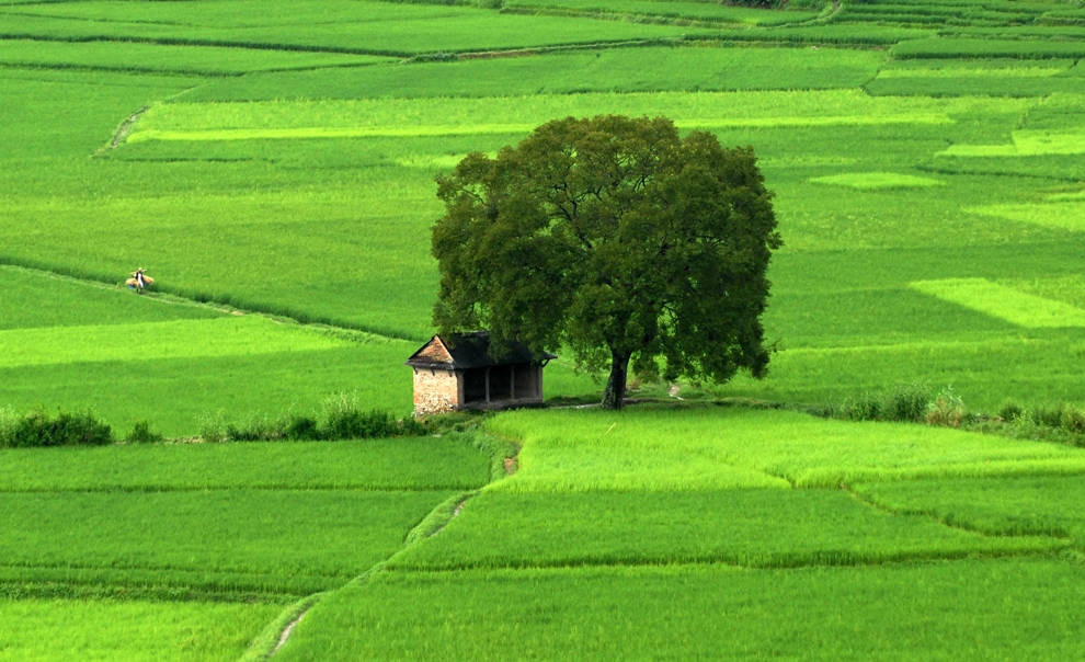 Những hình ảnh bình yên đẹp nhất