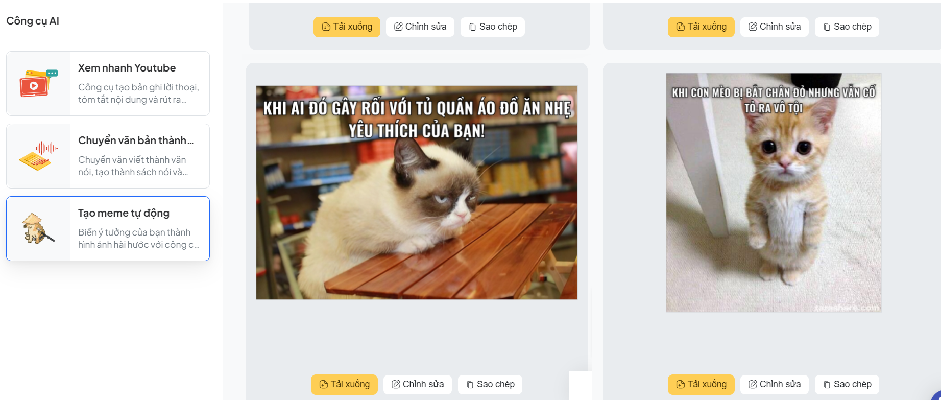 Tổng hợp ảnh mèo meme hài hước và cute lạc lối