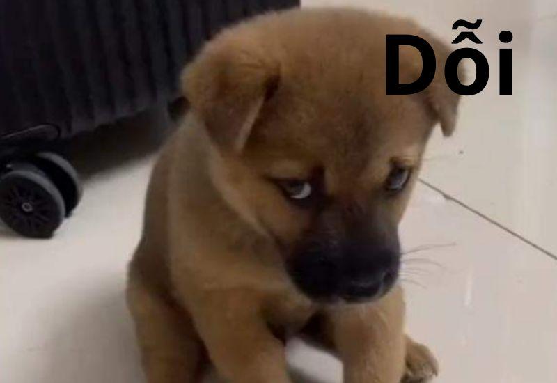 Trọn bộ meme giận dỗi dễ thương cute, hờn dỗi giận người yêu