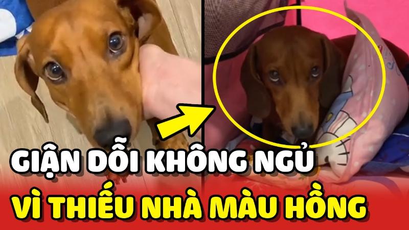 Trọn bộ meme giận dỗi dễ thương cute, hờn dỗi giận người yêu