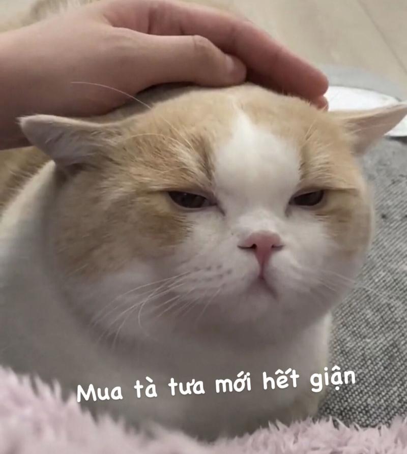 Trọn bộ meme giận dỗi dễ thương cute, hờn dỗi giận người yêu