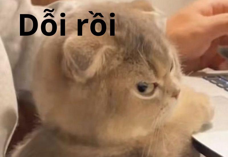 Trọn bộ meme giận dỗi dễ thương cute, hờn dỗi giận người yêu