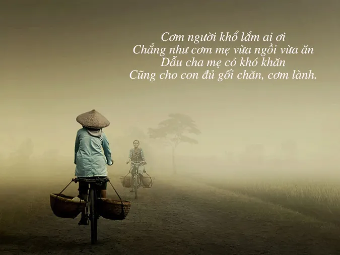 100 câu nói hay về cha mẹ, câu nói về lòng biết ơn cha mẹ ý nghĩa nhất