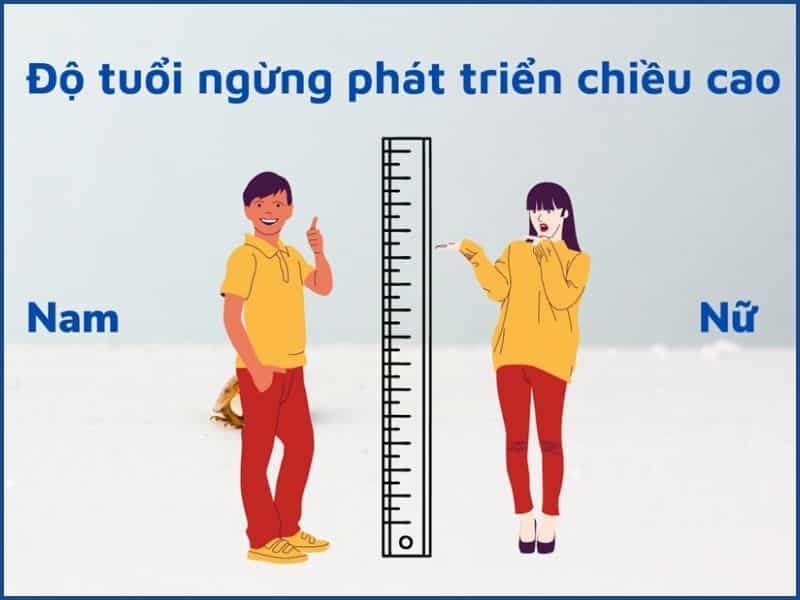 Giải đáp 22 tuổi còn tăng chiều cao được không?