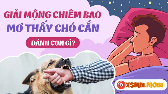 Ngủ mơ thấy bị chó cắn là điềm báo lành hay dữ?