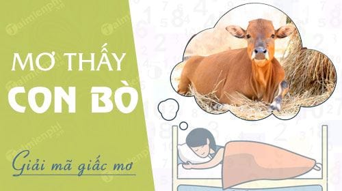 Mơ thấy con bò (ngưu)