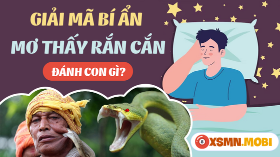 Ngủ mơ thấy bị rắn cắn có phải là giấc mộng dữ?