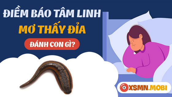 Ngủ mơ thấy con đỉa dự báo may mắn hay xui rủi?