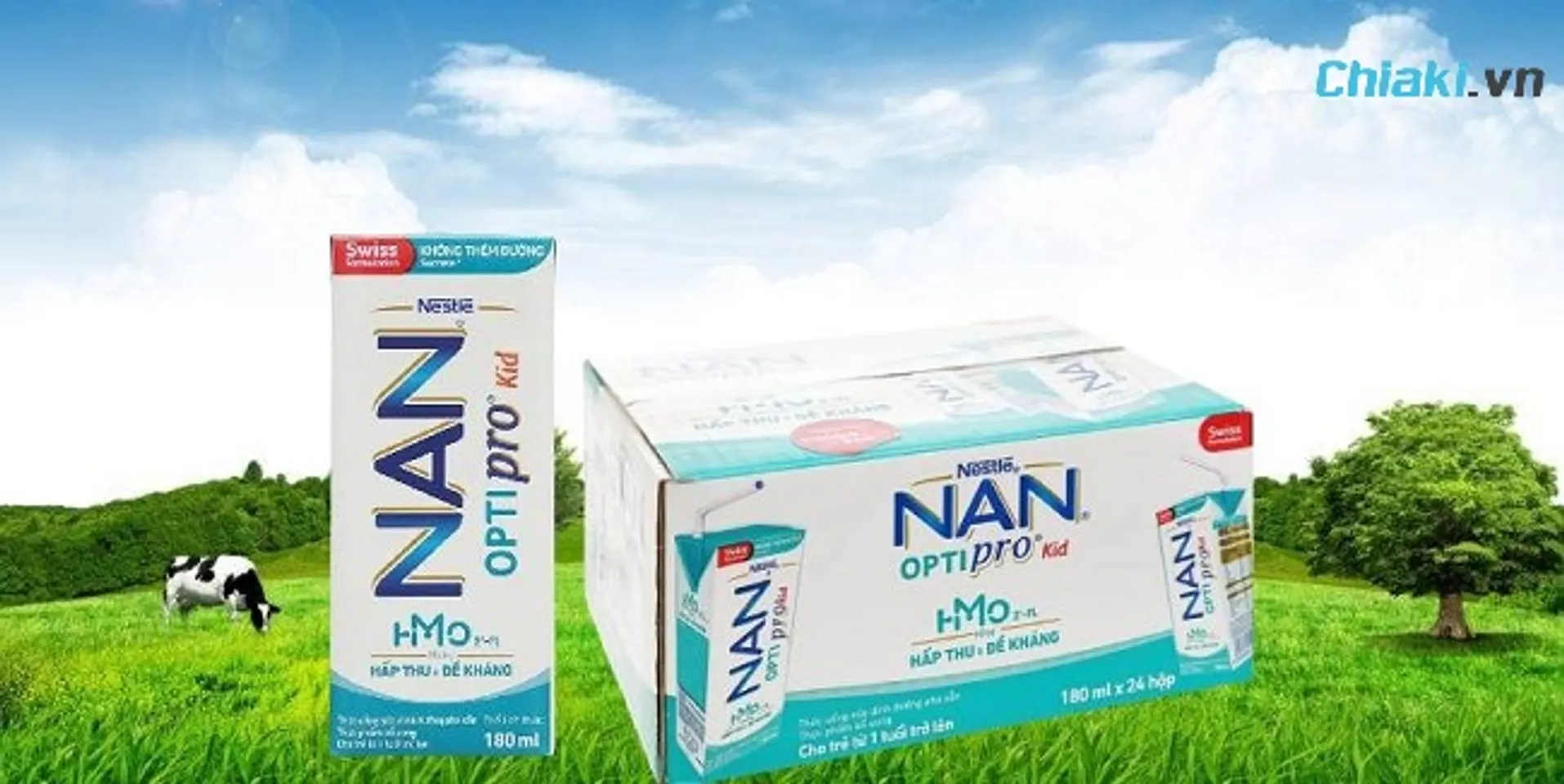 Sữa Nan có mấy loại? Review 13 dòng sữa Nan tốt nhất cho trẻ ở mọi độ tuổi