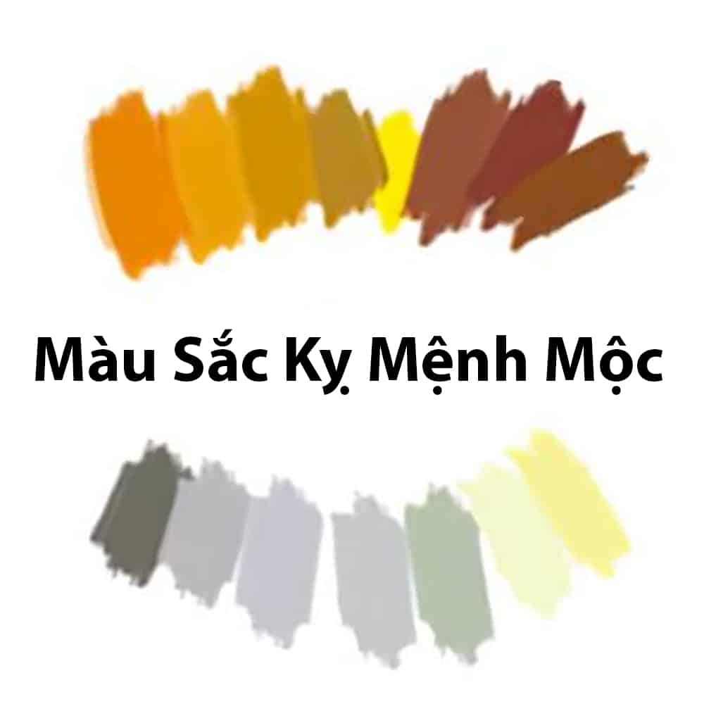 Phong thủy mệnh Mộc hợp màu gì và kỵ màu gì?