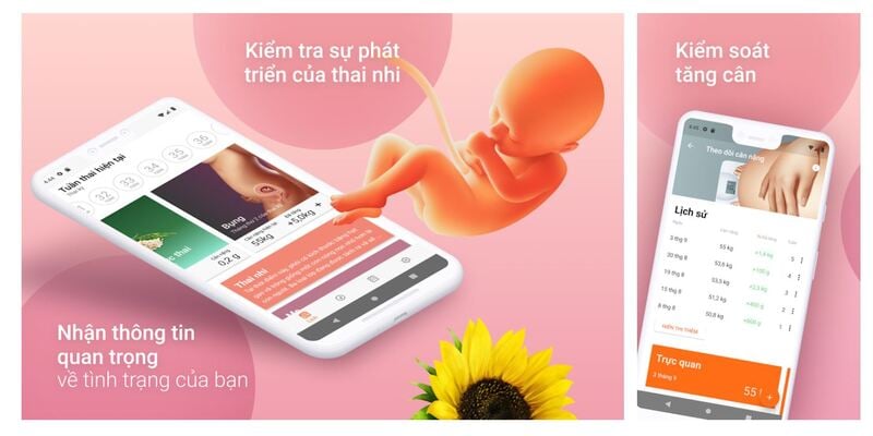 Cách tính tuổi thai nhi và ngày dự sinh chính xác nhất