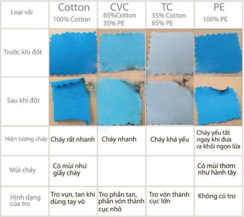 Vải cotton là gì? Ưu, nhược điểm và cách nhận biết