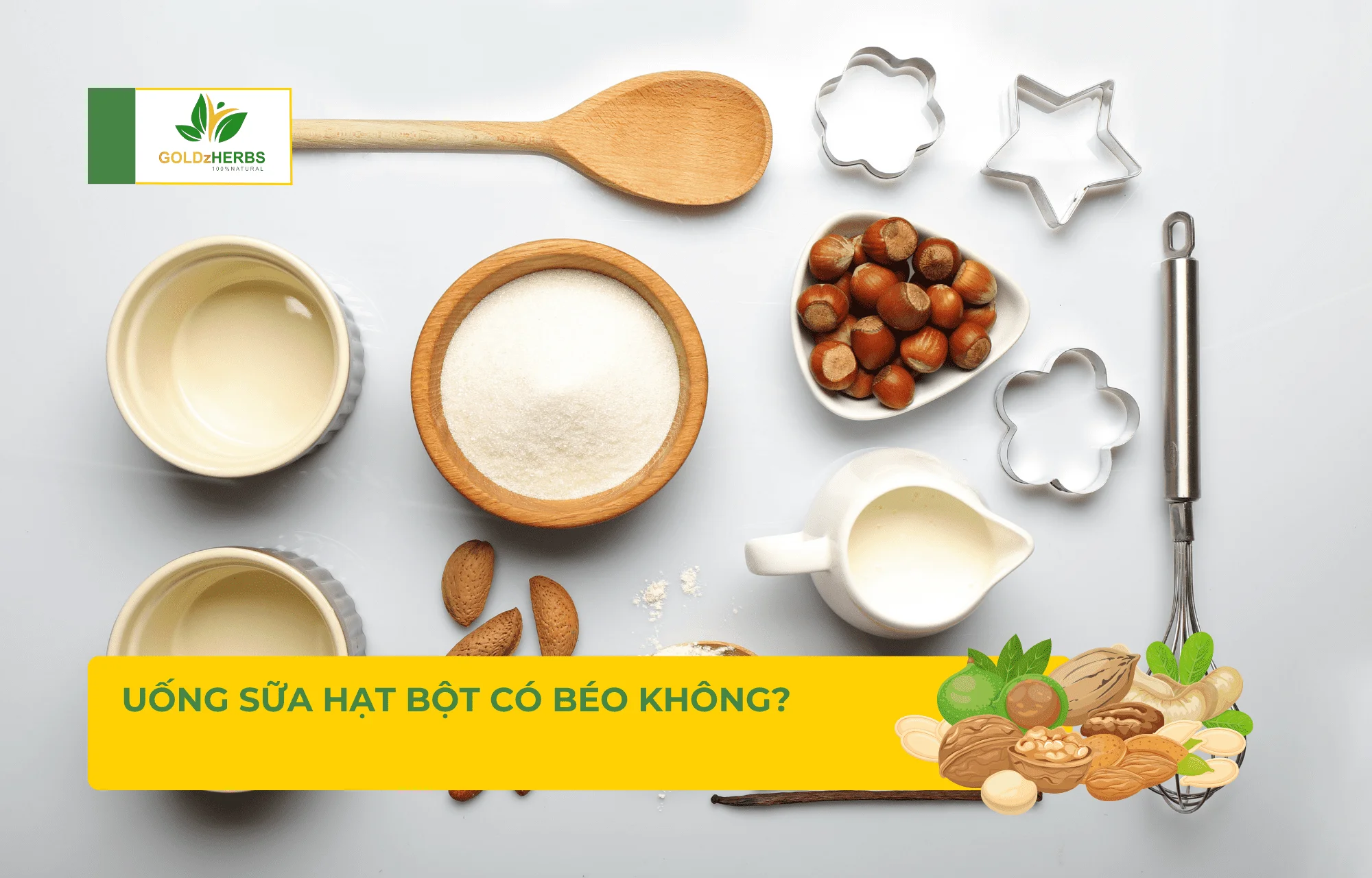 Thắc Mắc: Uống Sữa Hạt Bột Có Béo Không?