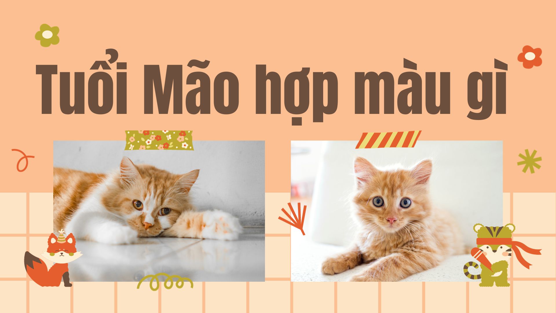 Tuổi mão hợp màu gì ?Tổng quan chung về đặc điểm của người tuổi Mão.