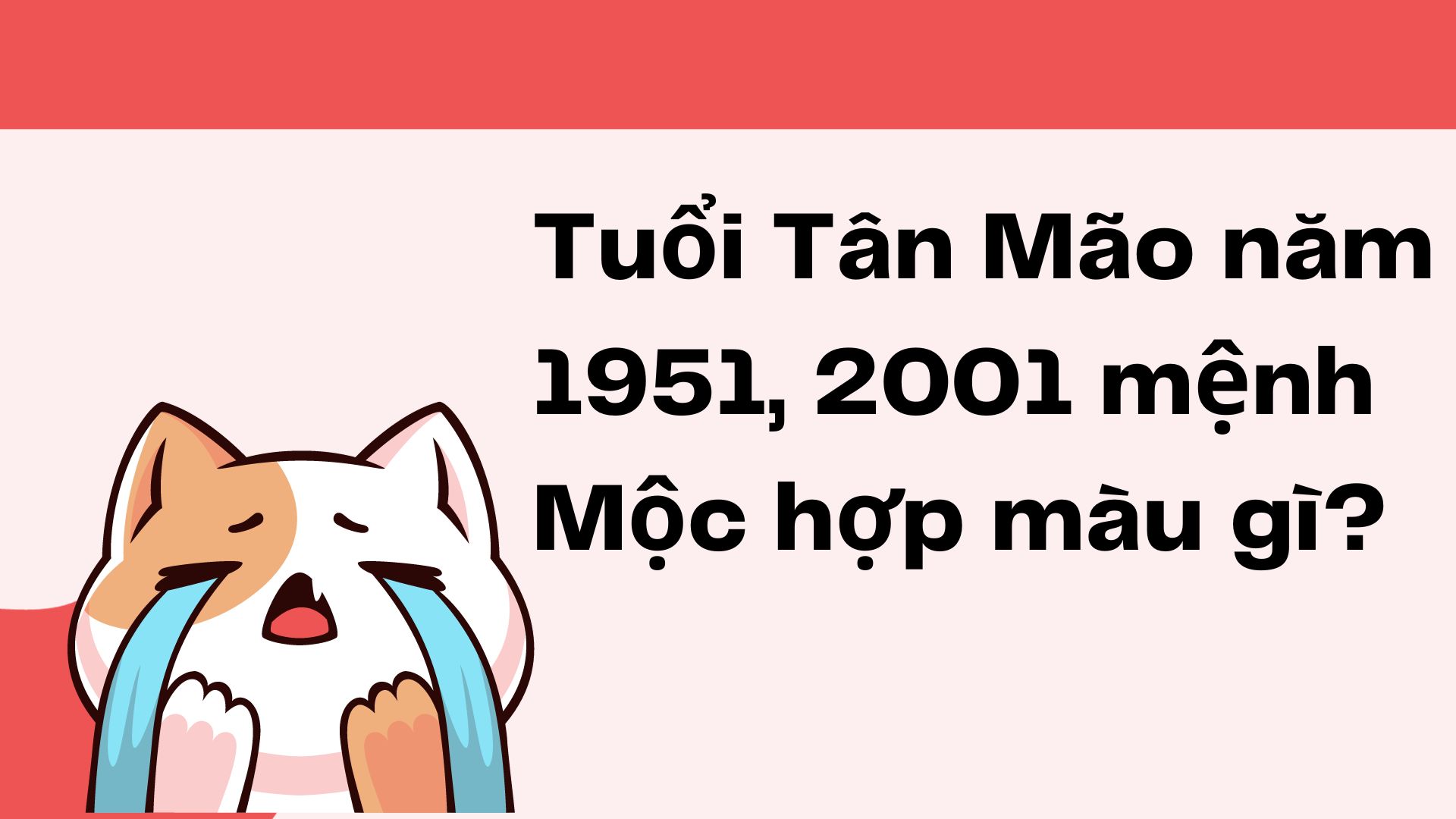 Tuổi mão hợp màu gì ?Tổng quan chung về đặc điểm của người tuổi Mão.