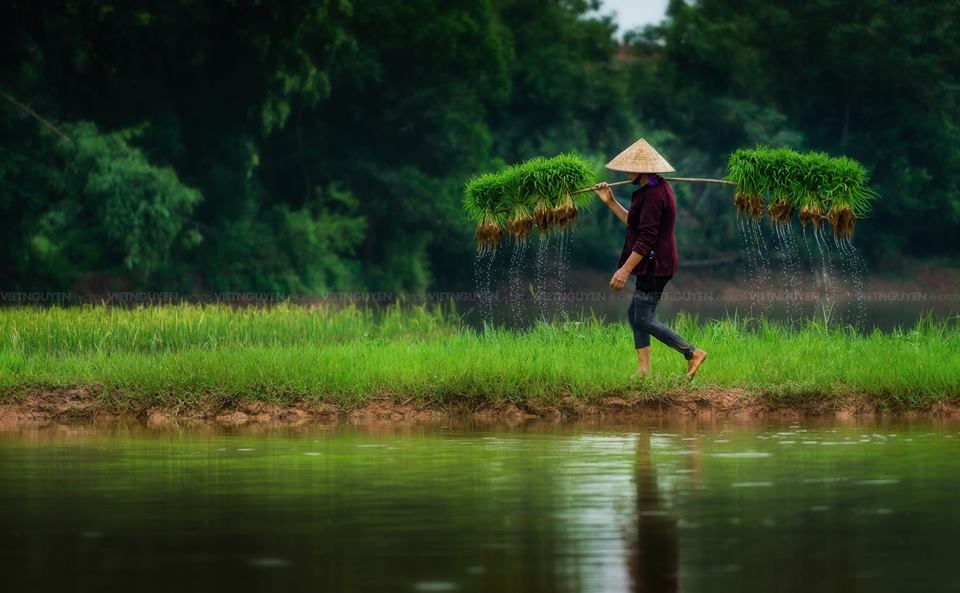 Những hình ảnh về mẹ đẹp, ý nghĩa và xúc động nhất