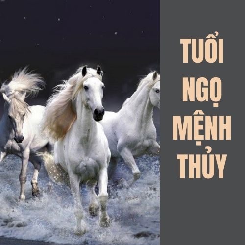 Tuổi Ngọ hợp màu gì? Tư vấn chọn màu hợp phong thủy với tuổi Ngọ