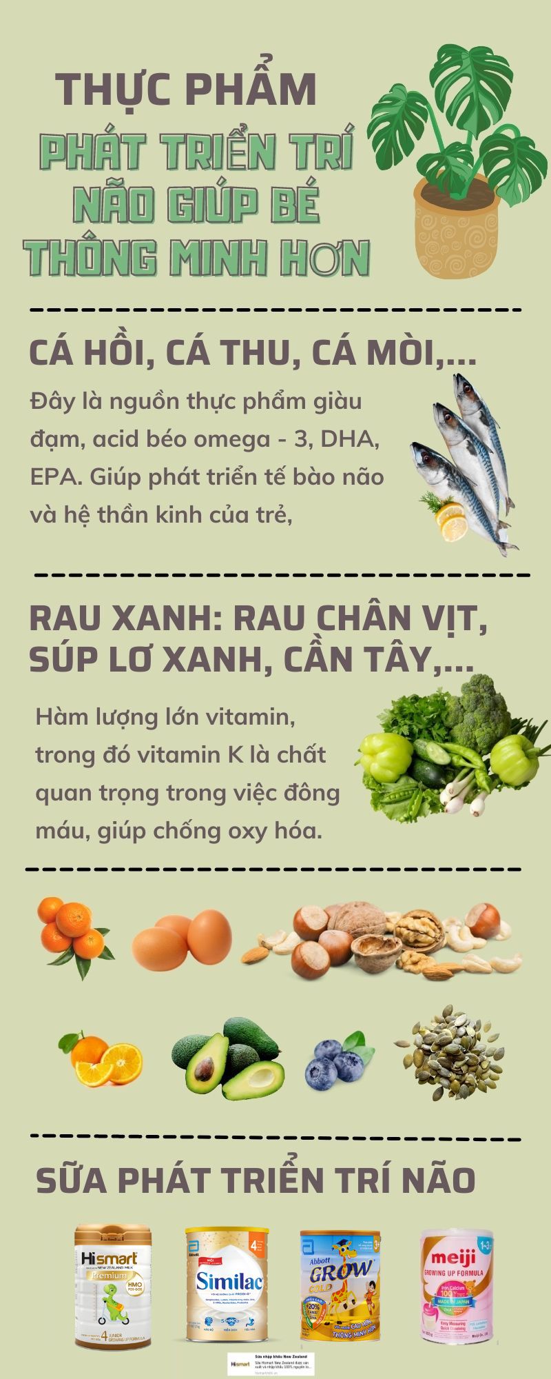 TOP 10 dòng sữa phát triển trí não giúp trẻ thông minh hơn tốt nhất hiện nay