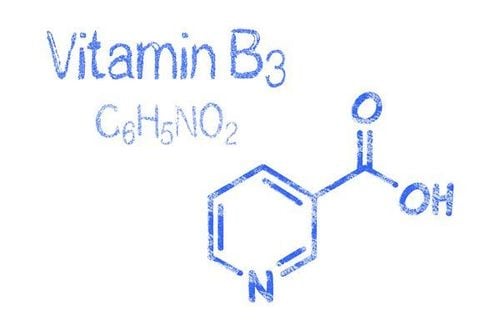 16 loại thực phẩm có nhiều Niacin (Vitamin B3)