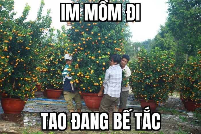 Bùng nổ cười với bộ sưu tập meme im mồm đỉnh cao