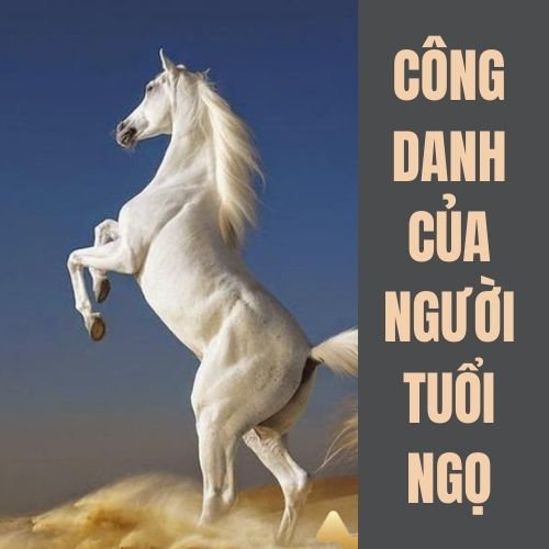 Tuổi Ngọ hợp màu gì? Tư vấn chọn màu hợp phong thủy với tuổi Ngọ