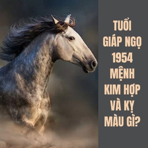 Tuổi Ngọ hợp màu gì? Tư vấn chọn màu hợp phong thủy với tuổi Ngọ