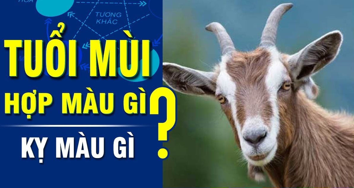 Tuổi mùi hợp màu gì, hợp tuổi nào, hướng phong thủy?