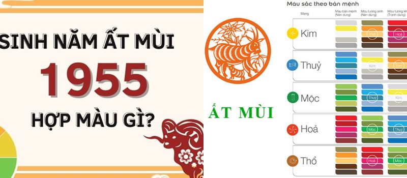 Tuổi mùi hợp màu gì, hợp tuổi nào, hướng phong thủy?