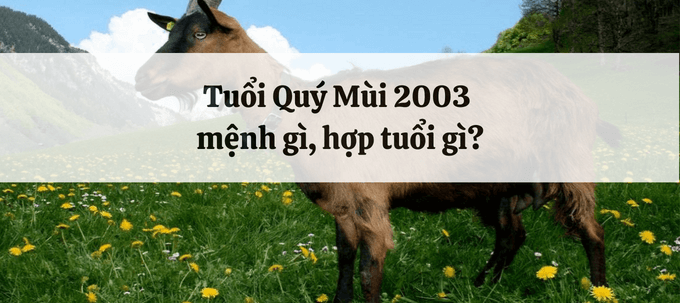 Tuổi mùi hợp màu gì, hợp tuổi nào, hướng phong thủy?