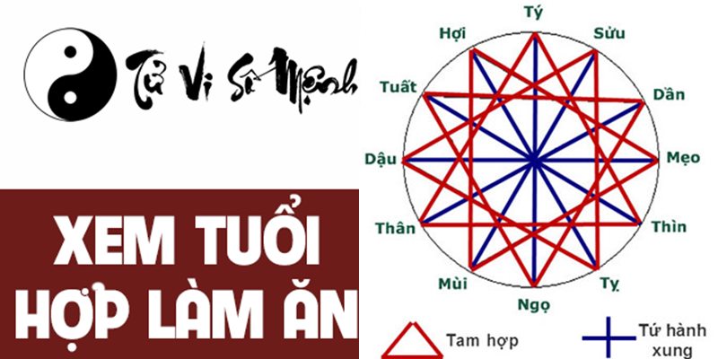 Tuổi mùi hợp màu gì, hợp tuổi nào, hướng phong thủy?