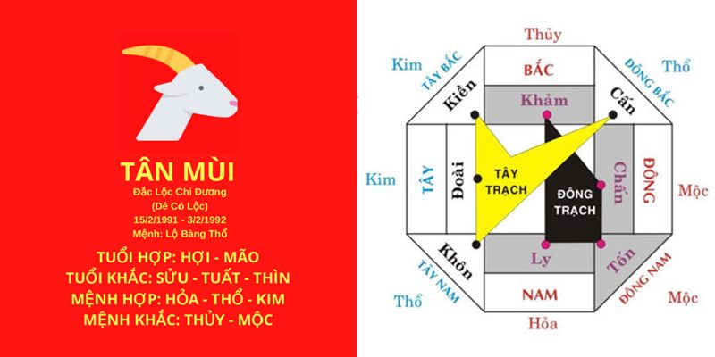 Tuổi mùi hợp màu gì, hợp tuổi nào, hướng phong thủy?