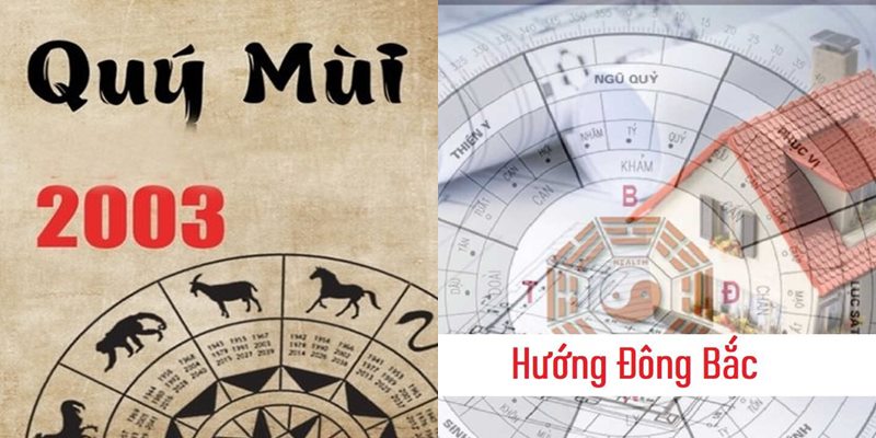 Tuổi mùi hợp màu gì, hợp tuổi nào, hướng phong thủy?