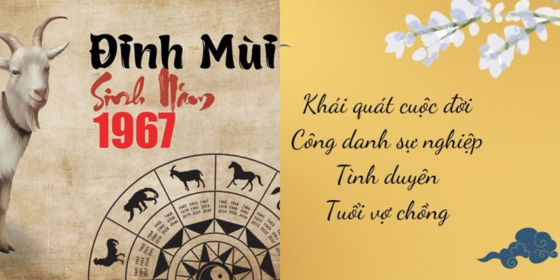 Tuổi mùi hợp màu gì, hợp tuổi nào, hướng phong thủy?