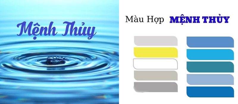 Tuổi mùi hợp màu gì, hợp tuổi nào, hướng phong thủy?