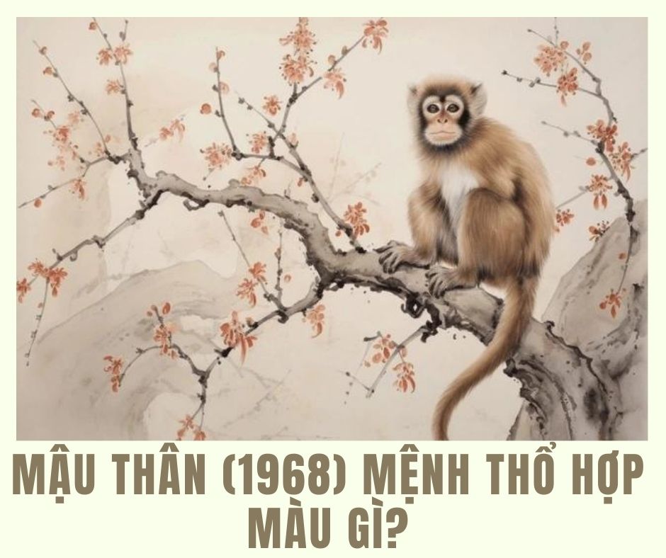 Tuổi thân hợp màu gì? Mặc gì thu hút tài lộc may mắn