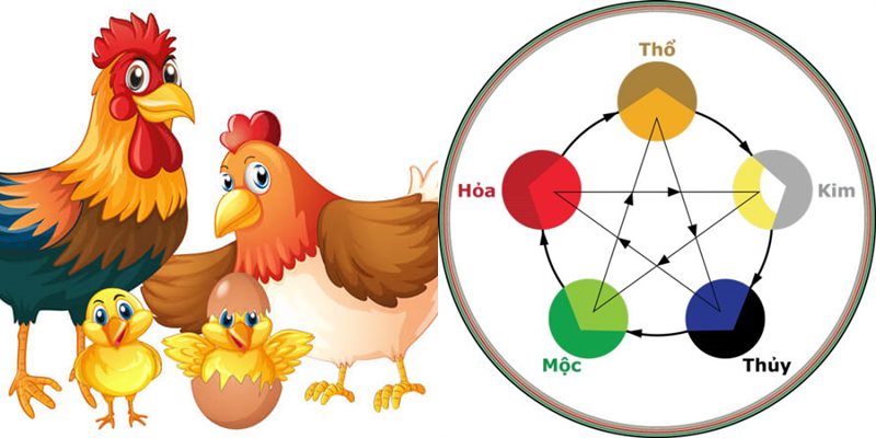 Tuổi dậu hợp màu gì? Chọn màu hợp thu hút tài lộc, may mắn