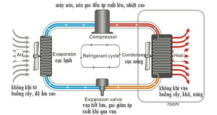 Phân biệt sấy lạnh, sấy chân không và sấy thăng hoa