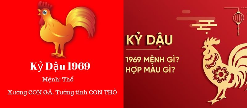 Tuổi dậu hợp màu gì? Chọn màu hợp thu hút tài lộc, may mắn