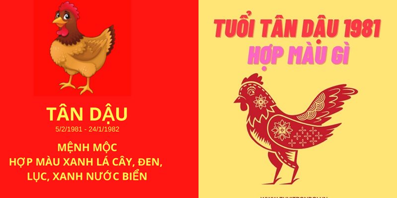 Tuổi dậu hợp màu gì? Chọn màu hợp thu hút tài lộc, may mắn