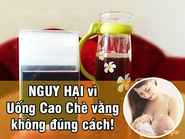 NGUY HẠI gì từ việc Uống Cao Chè Vằng quá nhiều?