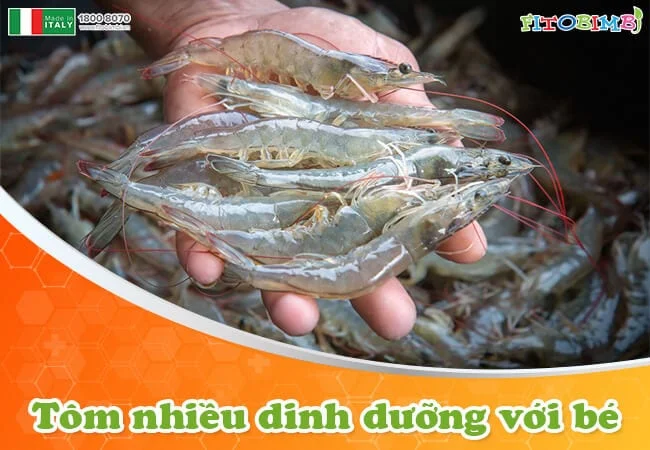 19 cách nấu cháo tôm cho bé dễ làm mà đầy dinh dưỡng